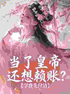 独家当了皇帝还想赖账?学费先付清小说-主角苏锦儿沈昭全文免费阅读