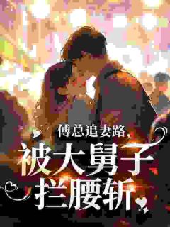 傅总追妻路,被大舅子拦腰斩小说全集(阮桃傅景渊)无弹窗广告阅读