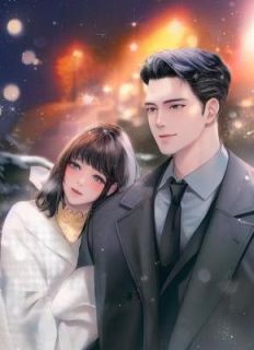 【新书】离婚后,前夫他悔断肠主角陆书浔于微全文全章节小说阅读