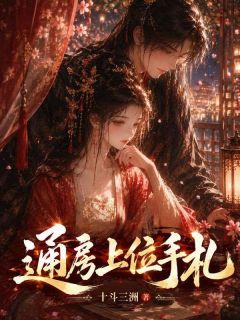 抖音小说琳琅崔启明琳琅崔启明无弹窗试读