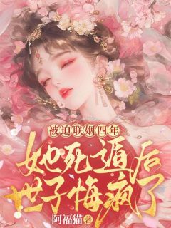 沈青薇裴少陵章节免费阅读