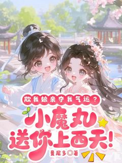 陆星沈如云小说欺我娘亲夺我气运?小魔丸送你上西天!全文阅读