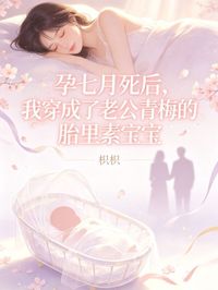 孕七月死后,我穿成了老公青梅的胎里素宝宝小说-孕七月死后,我穿成了老公青梅的胎里素宝宝抖音小说时洛傅宴