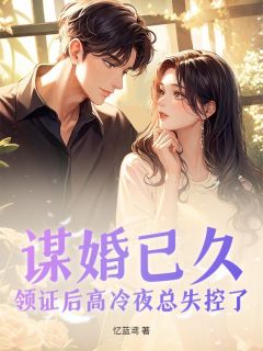 热文谋婚已久，领证后高冷夜总失控了小说-主角沈清澜夜烬全文在线阅读