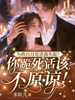 最完整版从此，京城再无我的聂太太热门连载小说