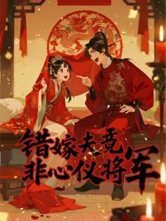 错嫁夫君竟非心仪将军知乎小说最新章节阅读