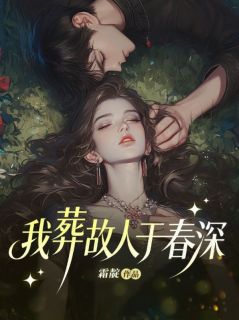 我葬故人于春深免费阅读全文，主角沈汀兰傅闻宴小说完整版