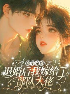 随军宠婚，退婚后我嫁给了部队大佬(新书)小说_苏芷念陆湛渊阅读