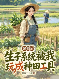 离婚后,生子系统被我玩成种田工具(栗芽江叙)精彩小说目录阅读