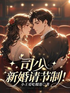 林安安司珑夜司少，新婚请节制！小说完整版