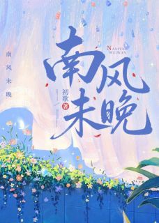 林晚苏南风主角的小说完结版南风未晚全集