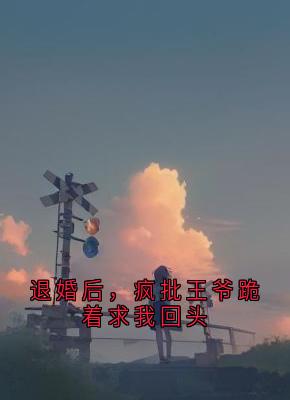 全网首发完整小说退婚后，疯批王爷跪着求我回头主角萧衍沈清漪沈鸢在线阅读