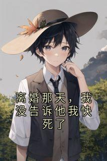 全章节小说离婚那天,我没告诉他我快死了忍不住自己写 最新阅读