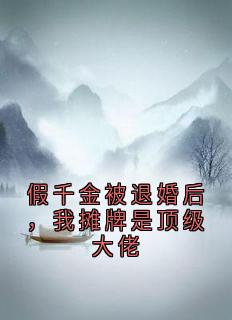 最完整版假千金被退婚后，我摊牌是顶级大佬热门连载小说