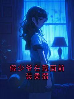 沈砚辞全本章节在线阅读大结局