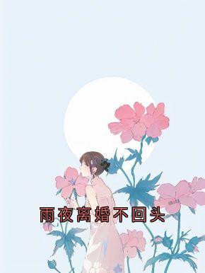 k神园区 的小说雨夜离婚不回头主角是许听晚陆沉舟