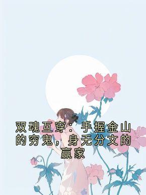 丁巳年 写的小说双魂互穿:手握金山的穷鬼,身无分文的赢家在线阅读