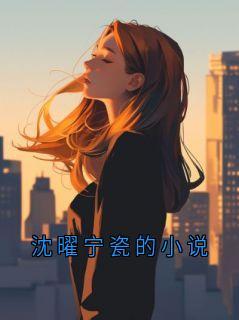 沈曜宁瓷的小说小说好看吗 沈曜宁最后结局如何