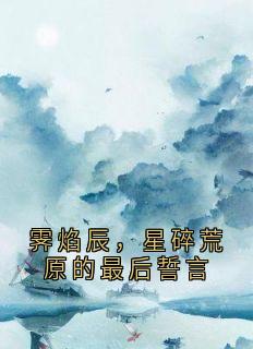 霁焰辰，星碎荒原的最后誓言霁焰辰大结局在线阅读-暗夜阅读网