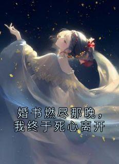 抖音爆款婚书燃尽那晚，我终于死心离开小说免费阅读