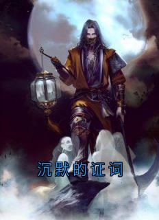 (精品)沉默的证词小说