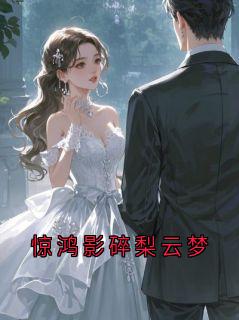 惊鸿影碎梨云梦陆归砚林妗念大结局小说全章节阅读