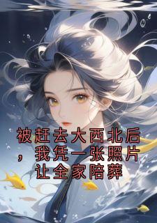 被赶去大西北后，我凭一张照片让全家陪葬(赵河)小说全章节目录阅读