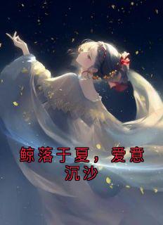 鲸落于夏,爱意沉沙章节全目录 旧港陆屿全文免费阅读-暗夜阅读网