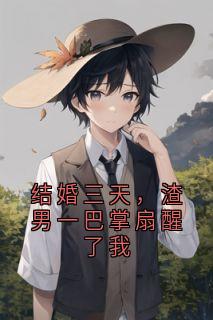 结婚三天，渣男一巴掌扇醒了我精彩章节-结婚三天，渣男一巴掌扇醒了我免费阅读全文