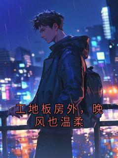 抖音工地板房外，晚风也温柔by桃汽气泡水新 在线阅读-暗夜阅读网
