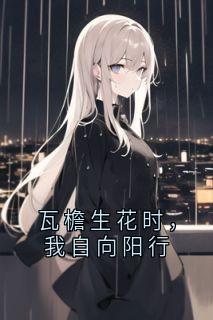 【新书】瓦檐生花时，我自向阳行主角苏晚全文全章节小说阅读-暗夜阅读网