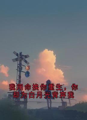我用命换你重生，你却为白月光背弃我是什么小说苏然林晚晚全本免费阅读