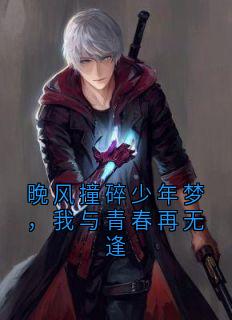 全章节小说晚风撞碎少年梦，我与青春再无逢毛豆的培 最新阅读