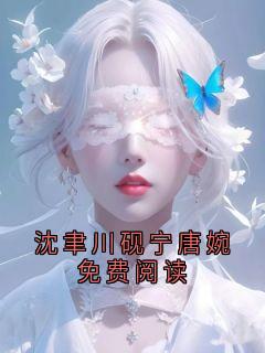 良心推荐沈聿川砚宁唐婉免费阅读小说试读