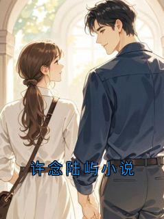 抖音小说许念陆屿小说许念全文txt