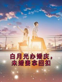 白月光办婚庆，未婚妻拿回扣小说-白月光办婚庆，未婚妻拿回扣抖音小说张诚苏晴陆辞