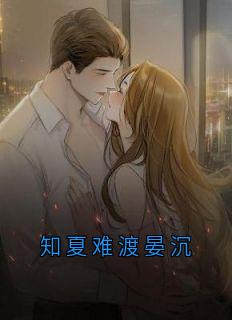 知夏难渡晏沉小说-顾晏沉林知夏全篇阅读