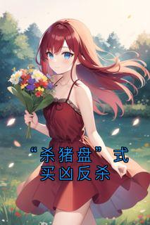 孙伟赵峰小说大结局在哪看-“杀猪盘”式买凶反杀完整版免费阅读