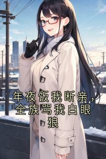 主人公晚宁美芳小文小说年夜饭我断亲，全族骂我白眼狼在线全文阅读