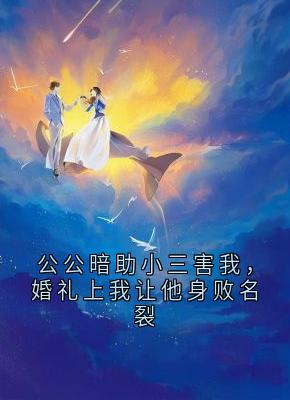 抖音热推小说公公暗助小三害我，婚礼上我让他身败名裂全文在线阅读