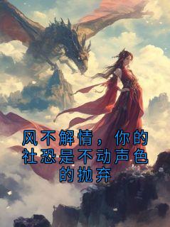 热门小说风不解情，你的社恐是不动声色的抛弃完整版全文阅读