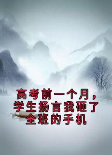 高质量小说高考前一个月，学生扬言我砸了全班的手机在线试读