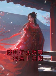 陆时衍沈玥等一场未卜归期(新书)小说_陆时衍沈瑶阅读