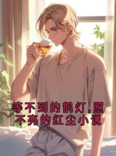 快手热推等不到的鹊灯,照不亮的红尘小说小说主角宋淮安织遥在线阅读