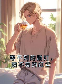 等不到的鹊灯,照不亮的红尘免费章节等不到的鹊灯,照不亮的红尘点我搜索全章节小说-暗夜阅读网