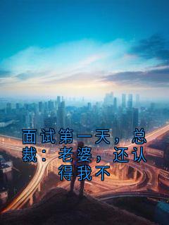 面试第一天,总裁:老婆,还认得我不最新章节免费阅读by西红柿味小甜文 无广告小说
