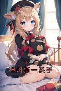 神州第一杀手免费阅读全文,主角初阳小说完整版