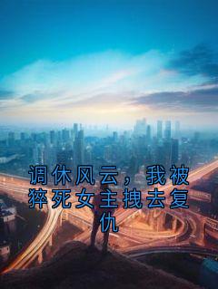 调休风云,我被猝死女主拽去复仇(挽水留银 )最佳创作小说全文在线阅读