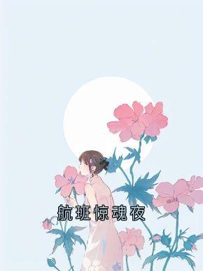 航班惊魂夜小说(完整版)-机舱章节阅读