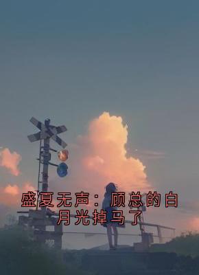 抖音小说【林浅沈辞安苏晚】全集免费版在线阅读